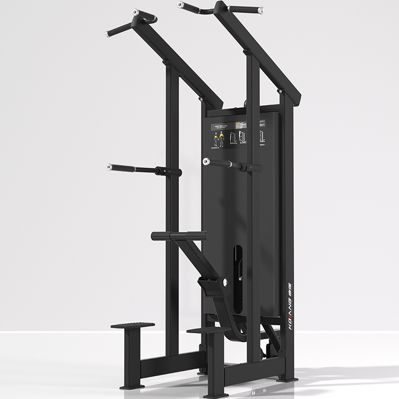 多宝辅助单双杠训练器7019室内专业力量专项运动健身器材